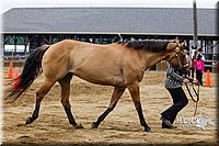 4H-2nd--072813-1324.jpg