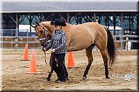 4H-2nd--072813-1327.jpg
