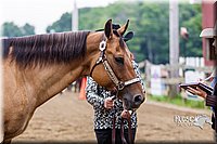 4H-2nd--072813-1329.jpg