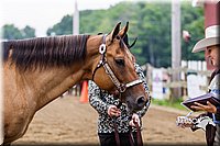 4H-2nd--072813-1330.jpg