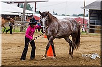 4H-2nd--072813-1335.jpg