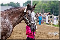 4H-2nd--072813-1339.jpg