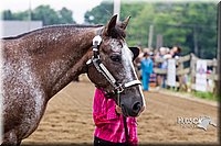 4H-2nd--072813-1340.jpg
