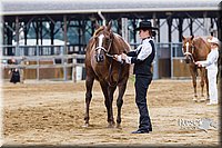4H-2nd--072813-1343.jpg