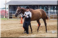4H-2nd--072813-1344.jpg