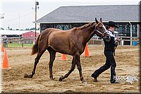 4H-2nd--072813-1345.jpg