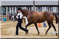 4H-2nd--072813-1346.jpg