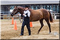 4H-2nd--072813-1347.jpg