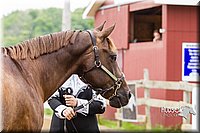 4H-2nd--072813-1349.jpg