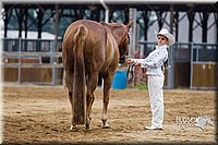 4H-2nd--072813-1352.jpg