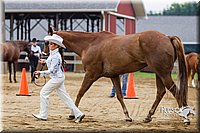 4H-2nd--072813-1355.jpg