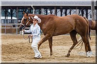 4H-2nd--072813-1356.jpg