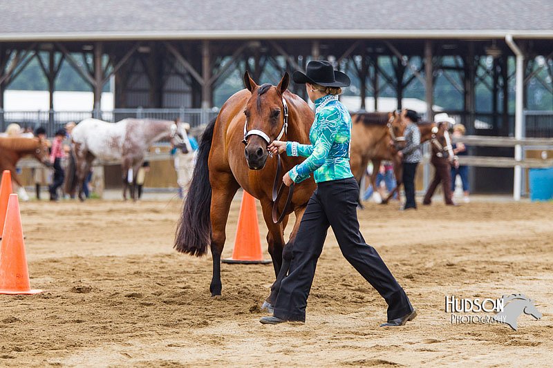4H-2nd--072813-1207.jpg