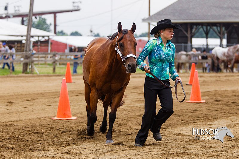 4H-2nd--072813-1210.jpg