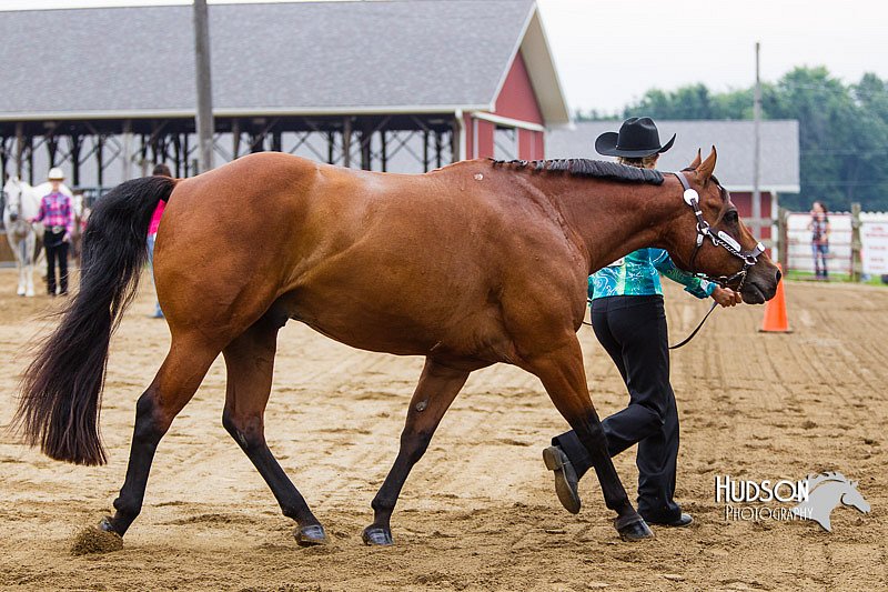 4H-2nd--072813-1211.jpg