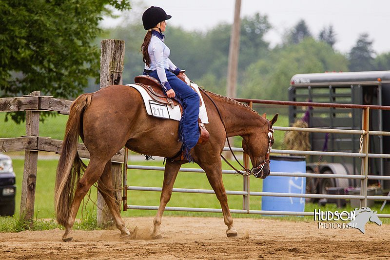 4H-2nd--072813-2251.jpg