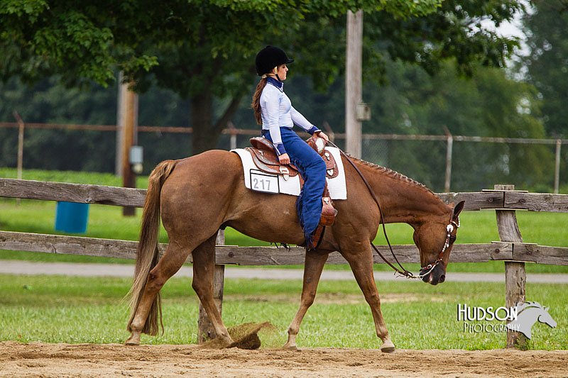 4H-2nd--072813-2255.jpg