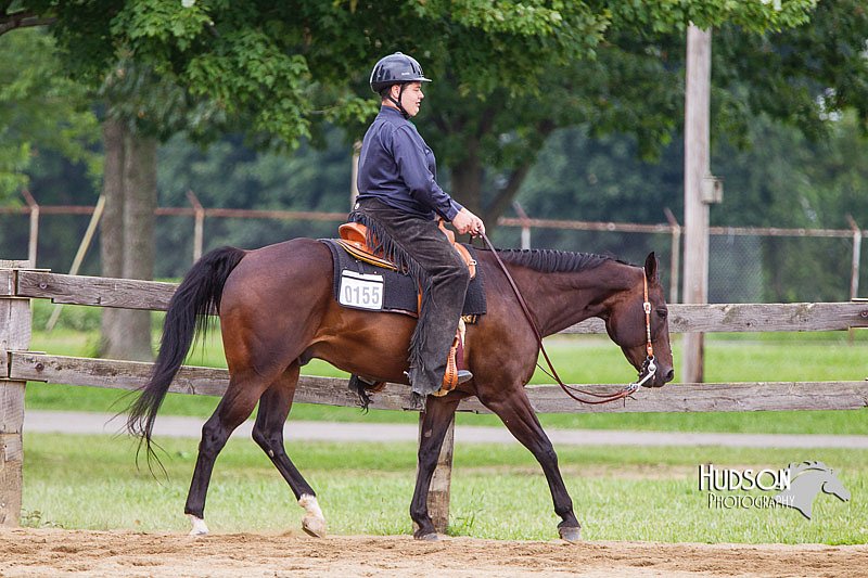 4H-2nd--072813-2214.jpg