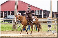 Open-Trail-Pony