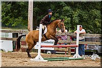 Hunt-Seat-Equitation-Sr-Fences