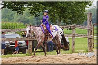 WT-West-Equitation-Horse