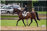 WT-English-Equitation-Pony