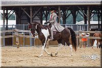 Saddle-Seat-Equit