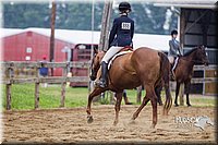 Hunt-Seat-Equitation-Sr