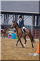 Hunt-Seat-Equitation-Jr