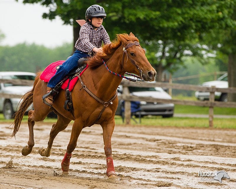 4H-FUN-060813-0185.jpg