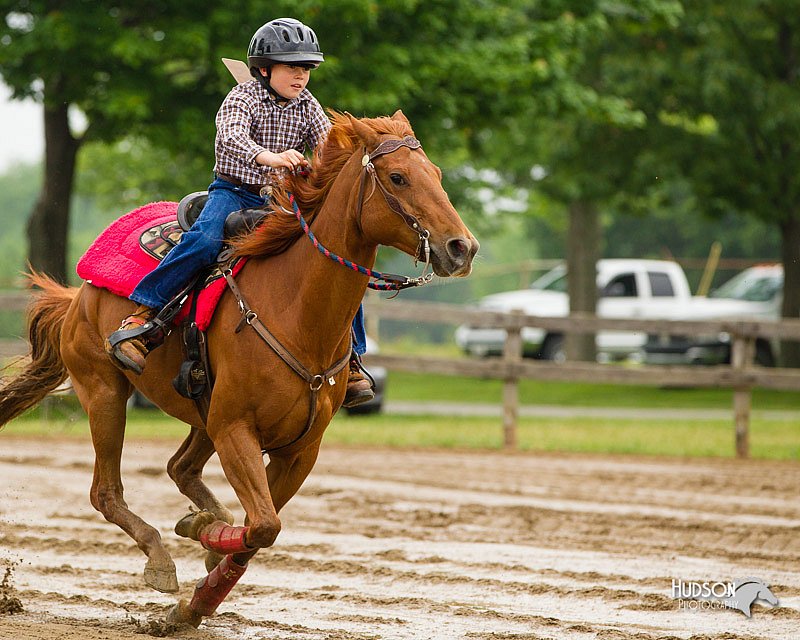 4H-FUN-060813-0186.jpg