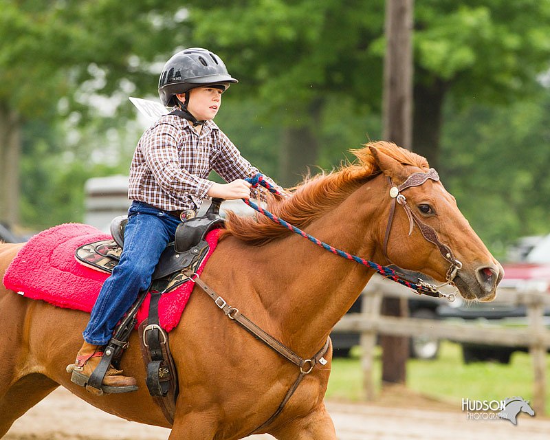 4H-FUN-060813-0188.jpg