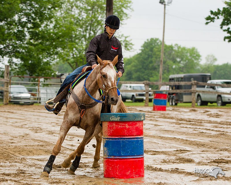 4H-FUN-060813-0189.jpg