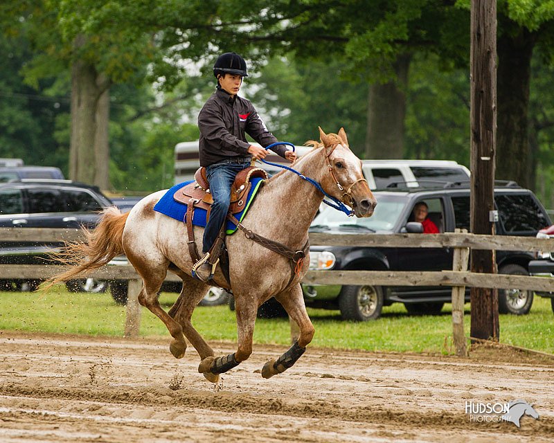 4H-FUN-060813-0190.jpg