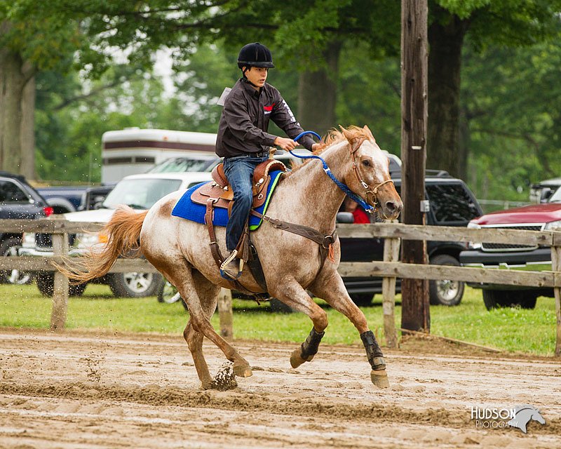 4H-FUN-060813-0191.jpg