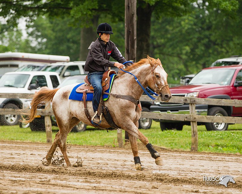 4H-FUN-060813-0192.jpg