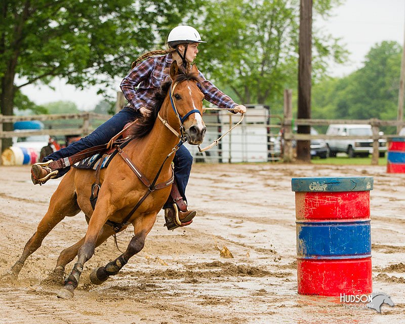 4H-FUN-060813-0200.jpg