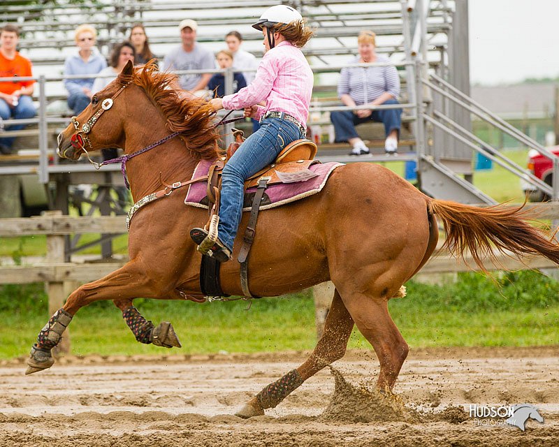 4H-FUN-060813-0223.jpg