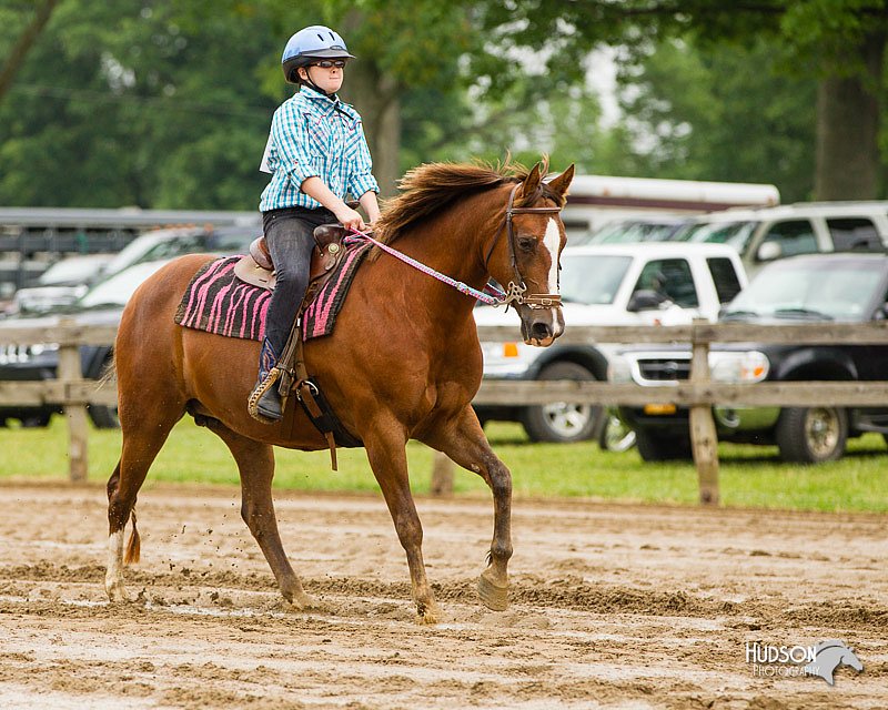4H-FUN-060813-0240.jpg