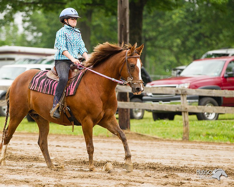 4H-FUN-060813-0241.jpg