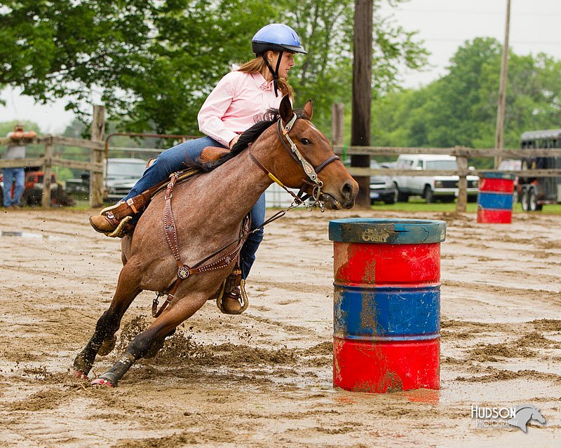 4H-FUN-060813-0245.jpg