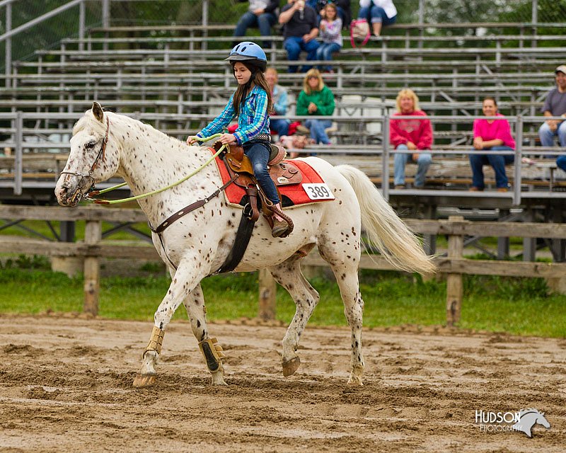 4H-FUN-060813-0254.jpg