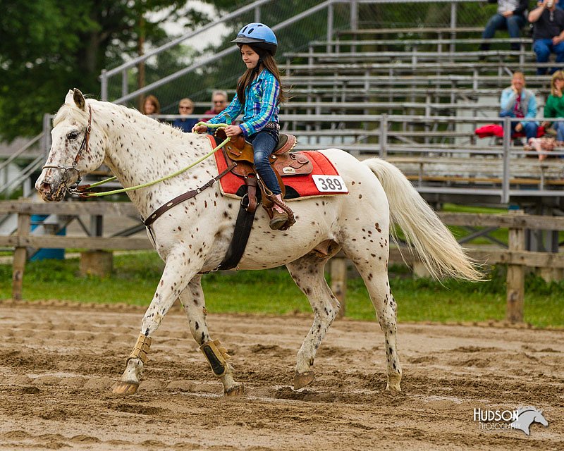4H-FUN-060813-0255.jpg