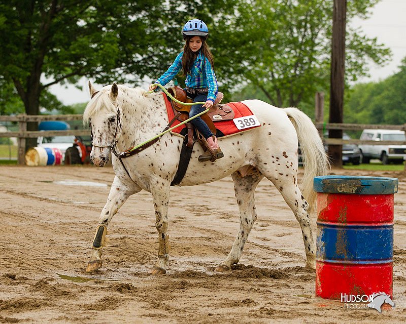 4H-FUN-060813-0256.jpg