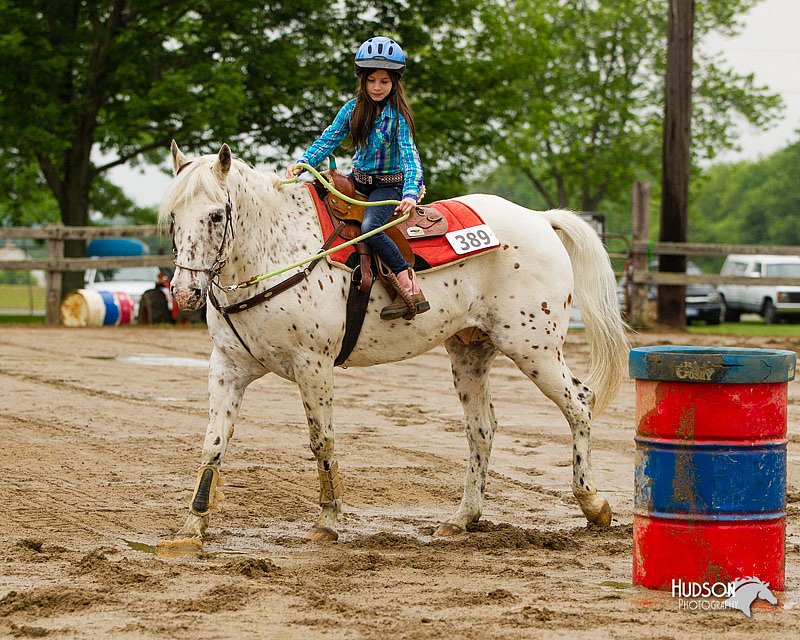 4H-FUN-060813-0257.jpg