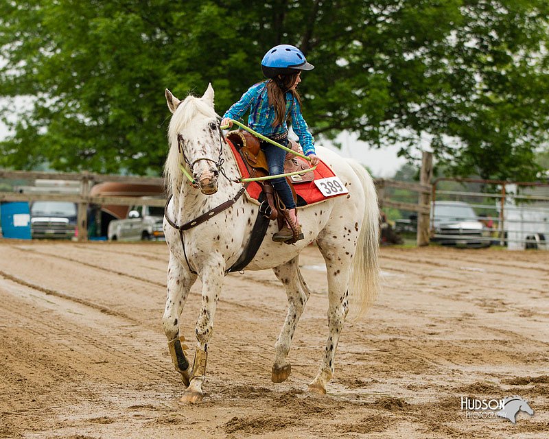 4H-FUN-060813-0258.jpg