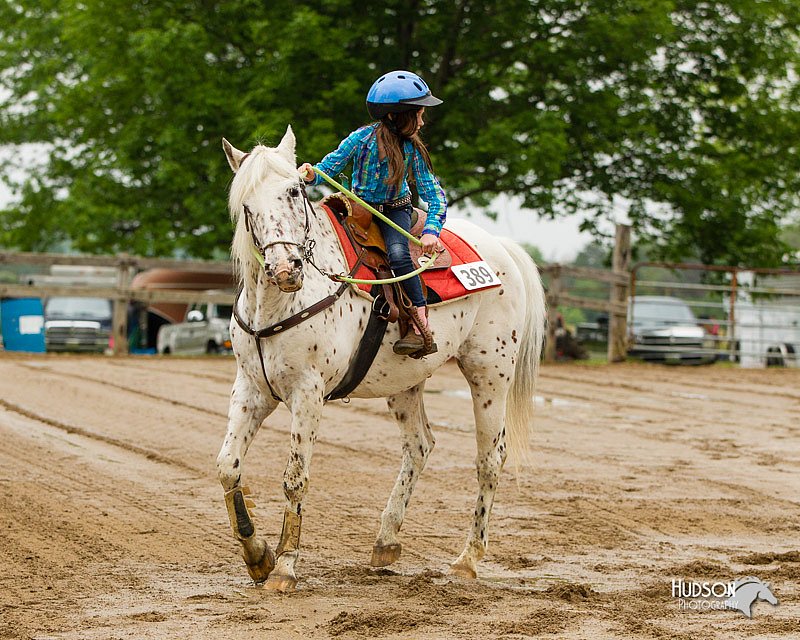 4H-FUN-060813-0259.jpg