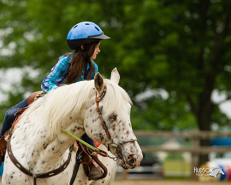 4H-FUN-060813-0260.jpg