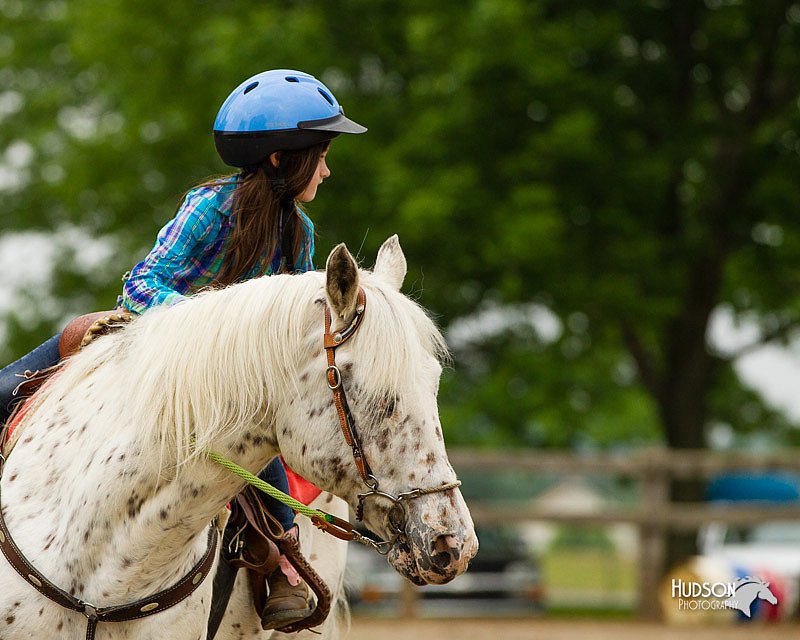 4H-FUN-060813-0261.jpg