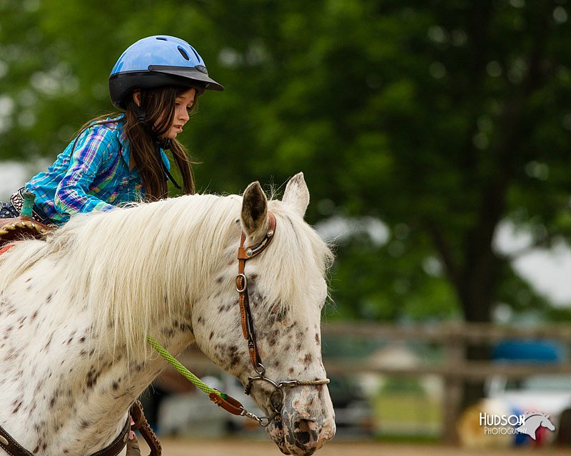 4H-FUN-060813-0262.jpg